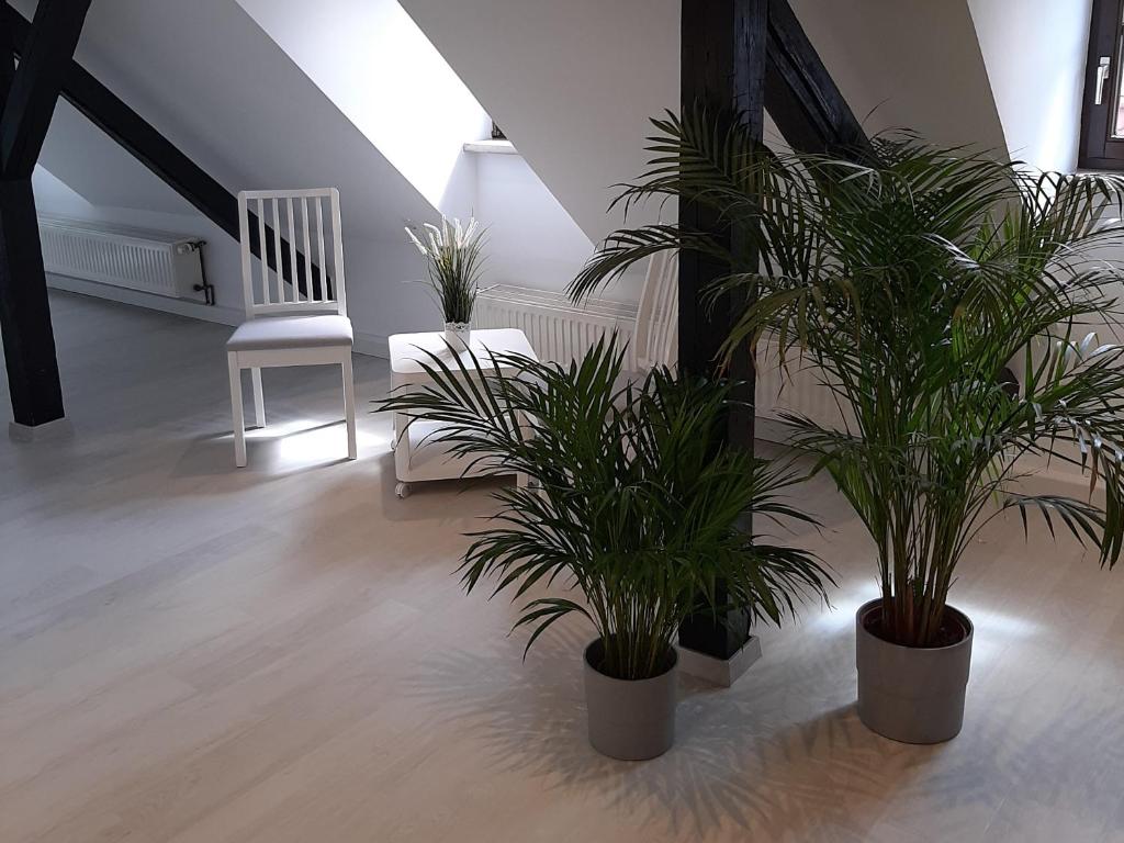 Fotografie z fotogalerie ubytování Bugenhagen - Classic Appartements v destinaci Arnstadt