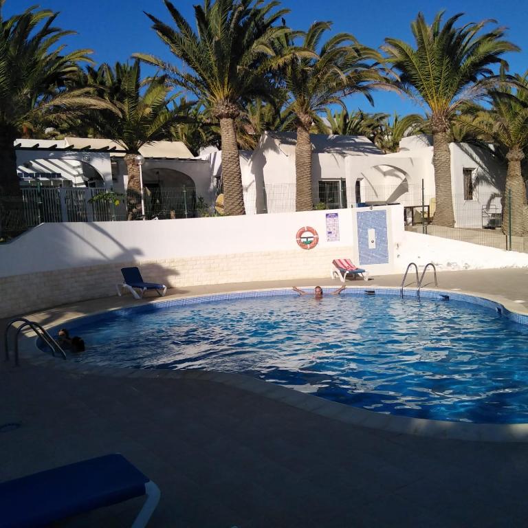 a swimming pool with palm trees in the background at La Casa De MarcoQ in Costa Calma