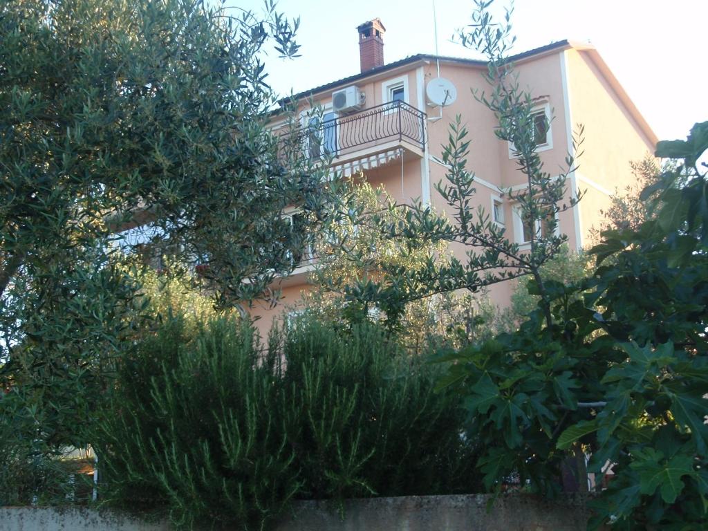 Guest House Maxi - 18