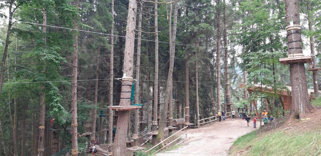 Příroda nedaleko hotelu