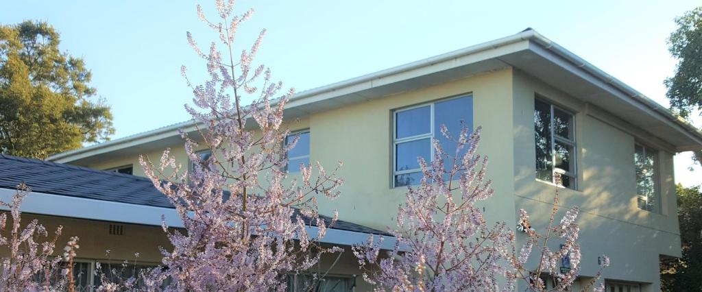 a house with purple trees in front of it at Durbanville Place - 3 bedroom apartment in Durbanville