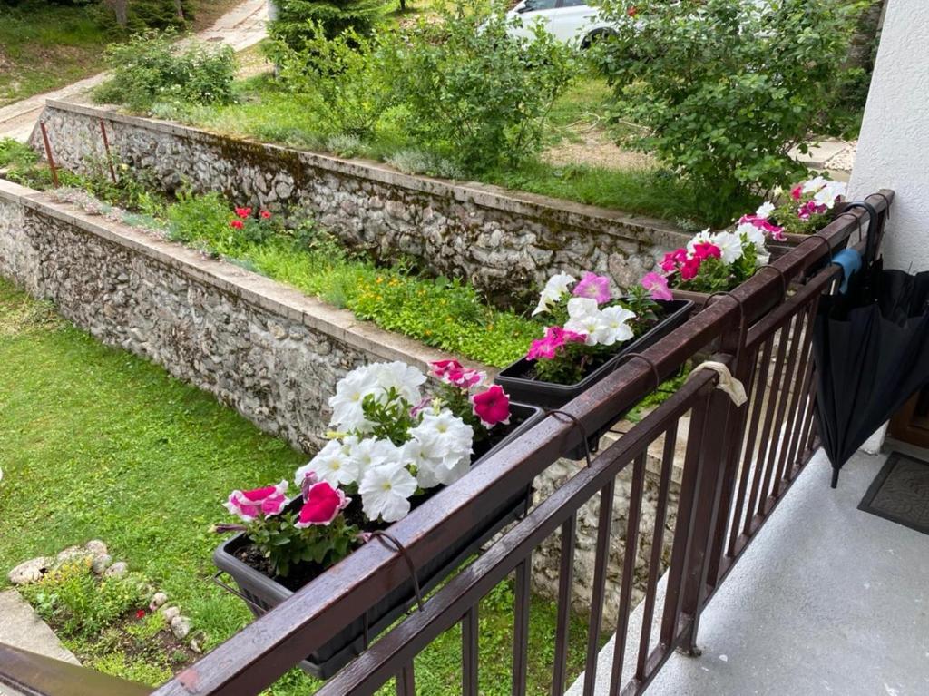 Zahrada ubytování Apartments Vuković