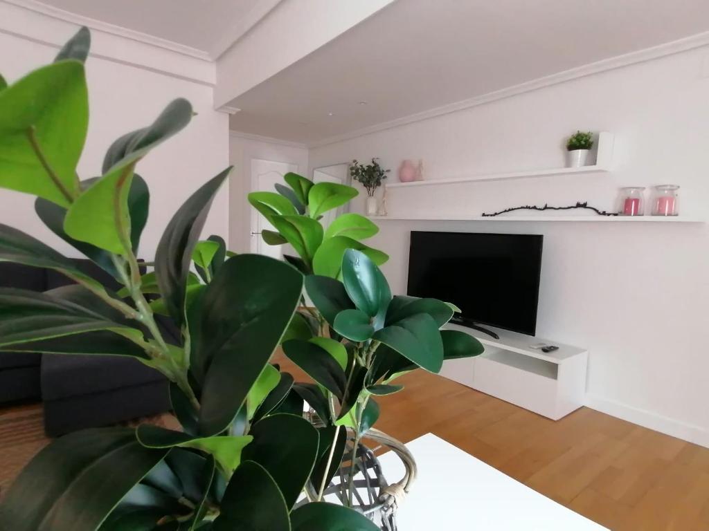 Apartamento Vicario Toledo - 2