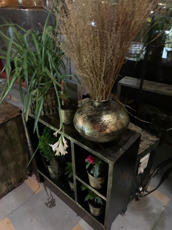 Fotografie z fotogalerie ubytování Zenith Hotel - Delhi Airport v Novém Dillí
