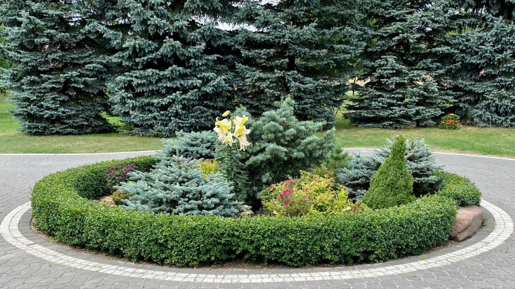 Zahrada ubytování Agroturystyka Pod Jodłami
