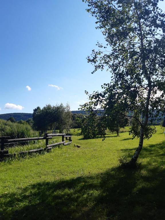 Príroda v okolí dovolenkového domu