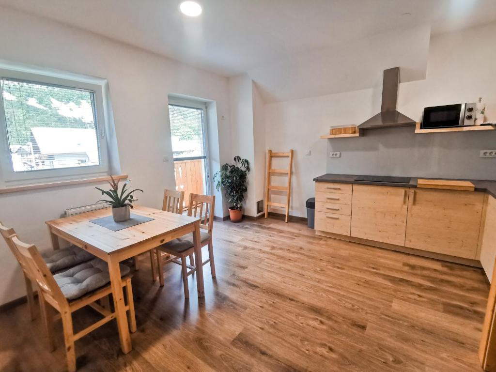 Kuchyň nebo kuchyňský kout v ubytování TriSa apartments Bohinj