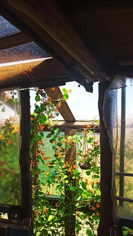 Balkón nebo terasa v ubytování Bunker Hostel