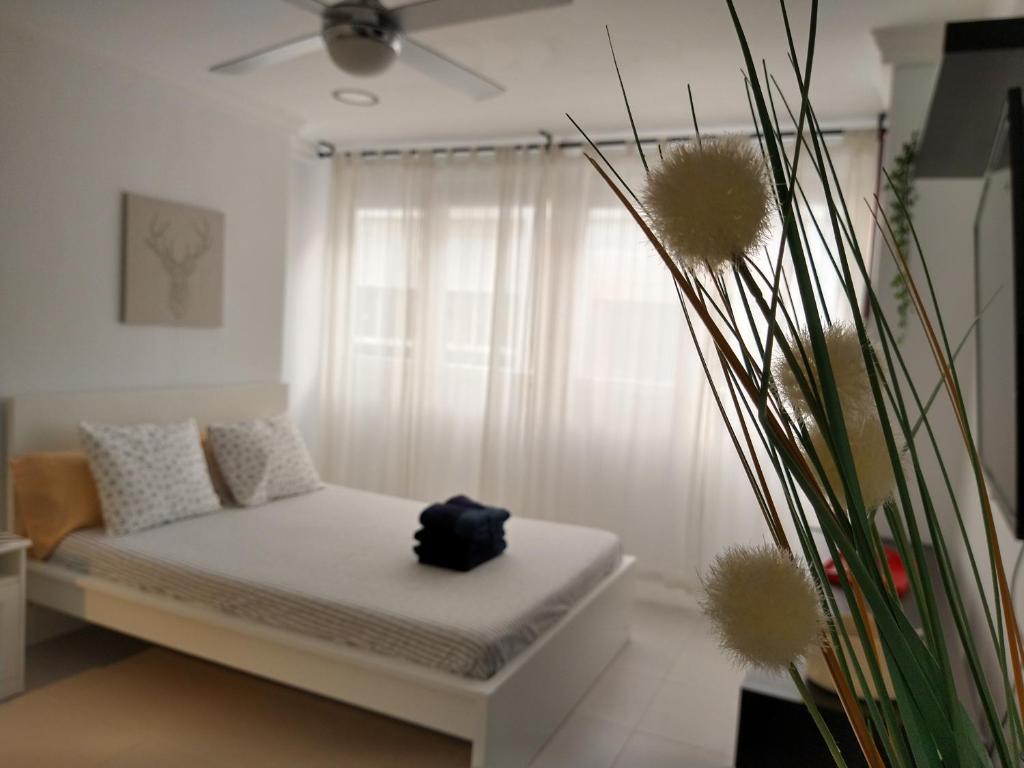 een witte kamer met een bed en een plant bij Luminoso y moderno Estudio Plaza Andalucía in Torremolinos