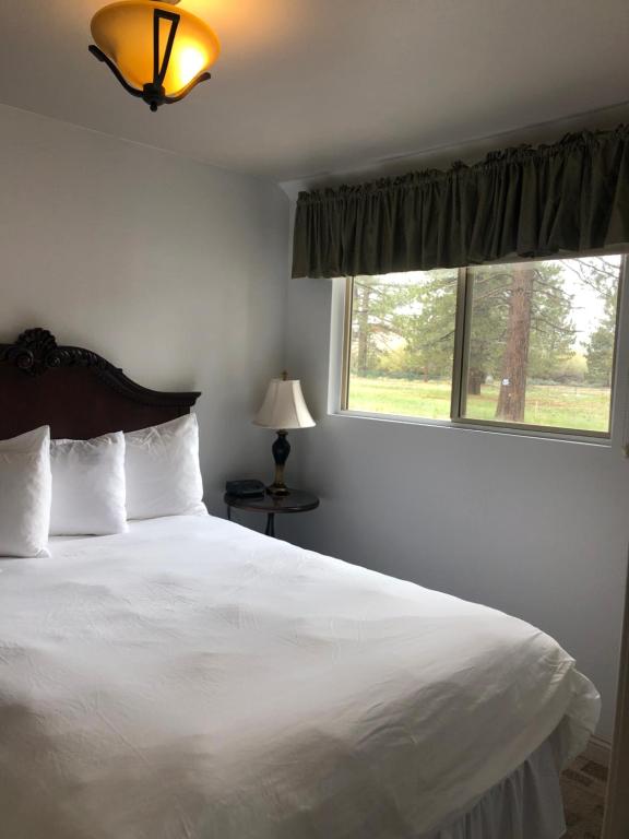 Bay Meadows Resort - Deluxe Queen Suite