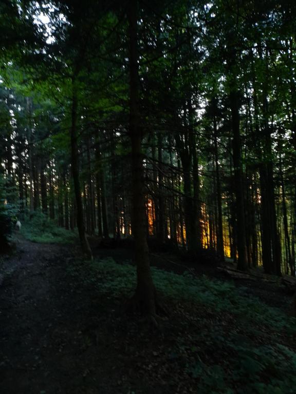 Příroda nedaleko apartmánu