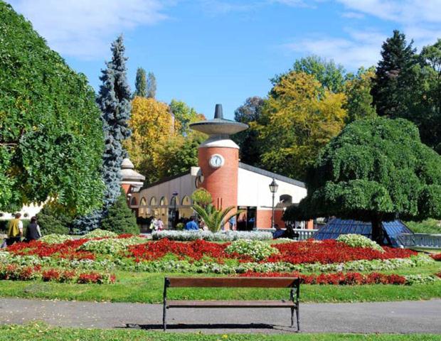 Zahrada ubytování Apartman Ramonda Vrnjacka banja