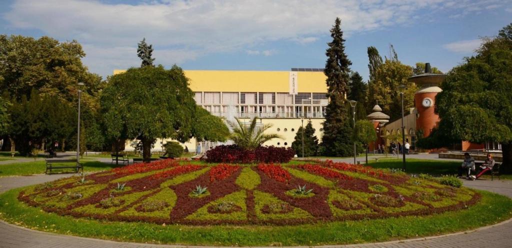Zahrada ubytování Apartman Ramonda Vrnjacka banja