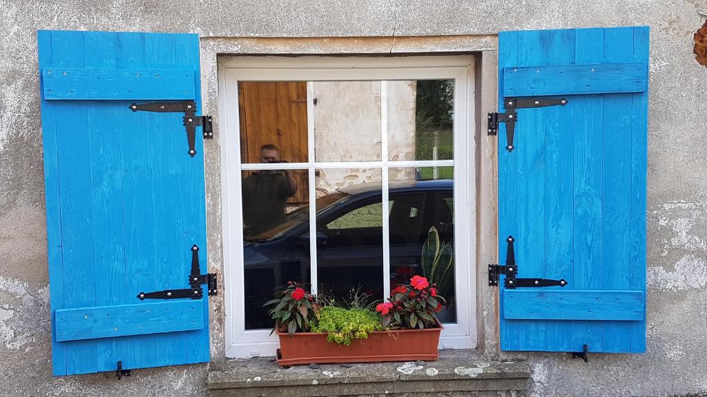 a window with blue shutters and flowers in a window at Dom O Niebieskich Okiennicach in Gryfów Śląski