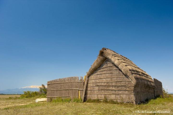 Příroda nedaleko kempu