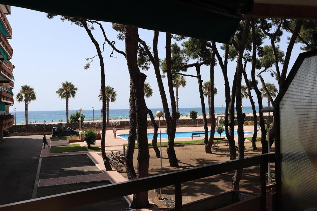uma vista para uma piscina com palmeiras e para o oceano em AT136 Els Pins I em Torredembarra