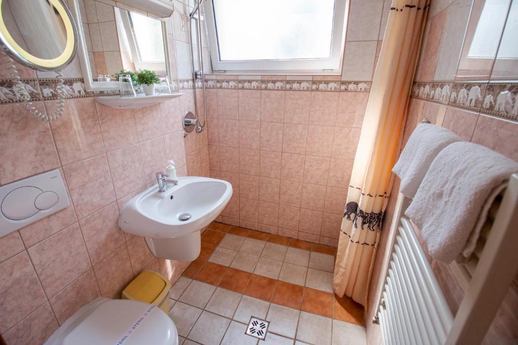 Richter Pansion - Resim 9