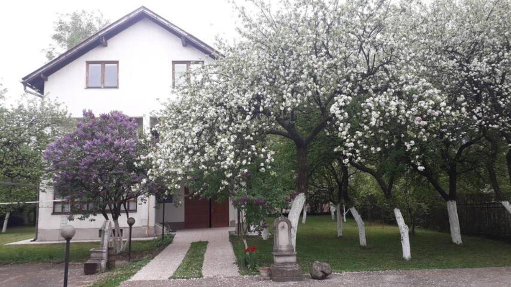 Vila Gardenia - Вилла