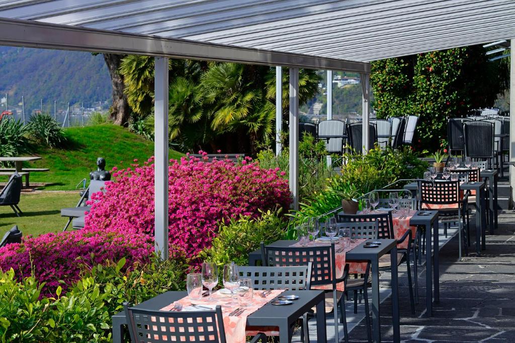 Zahrada ubytování Hotel Collinetta