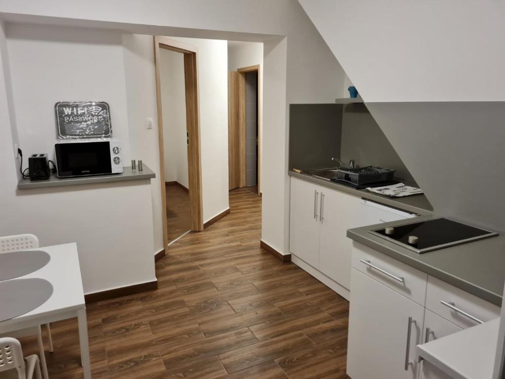 Kuchyňa alebo kuchynka v ubytovaní Holdudvar Apartman