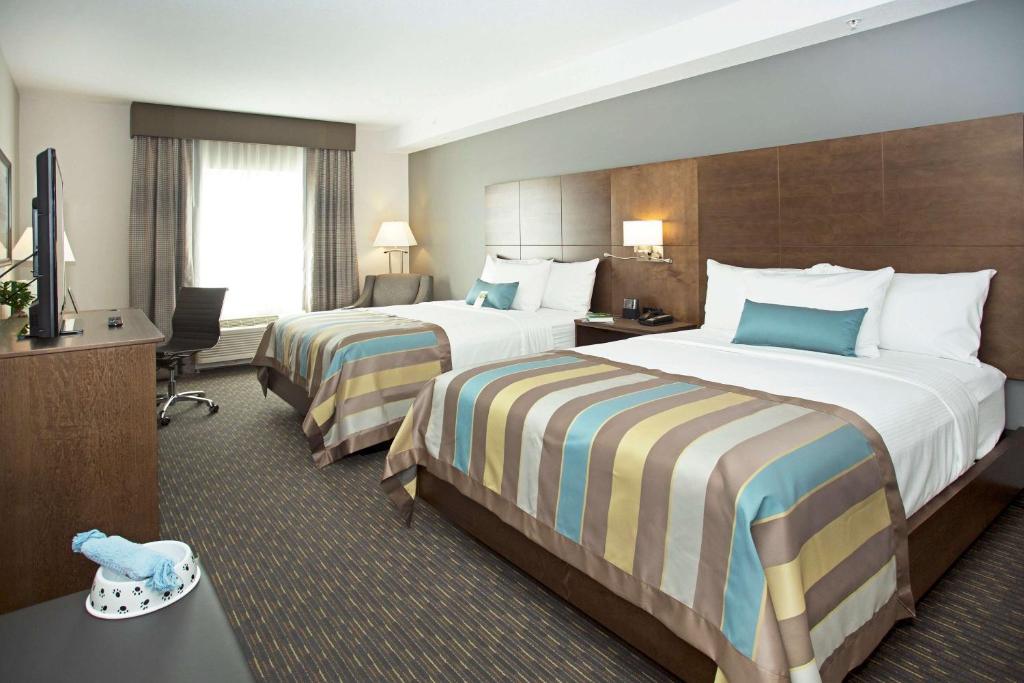 Wingate by Wyndham Calgary Airport - Resim 9
