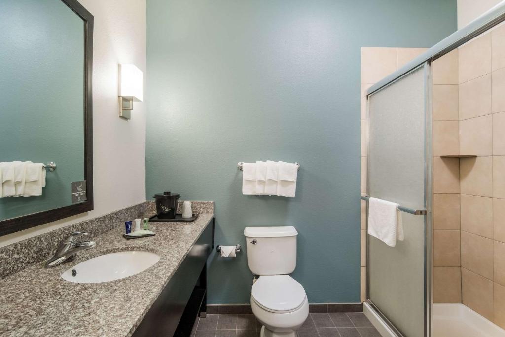 Sleep Inn & Suites At Kennesaw State University - King Suite - Niet -roken