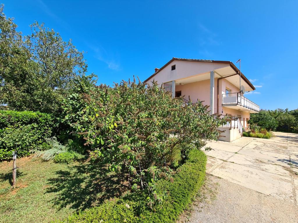 Vonkajšia záhrada v ubytovaní Apartments Fazanska 930