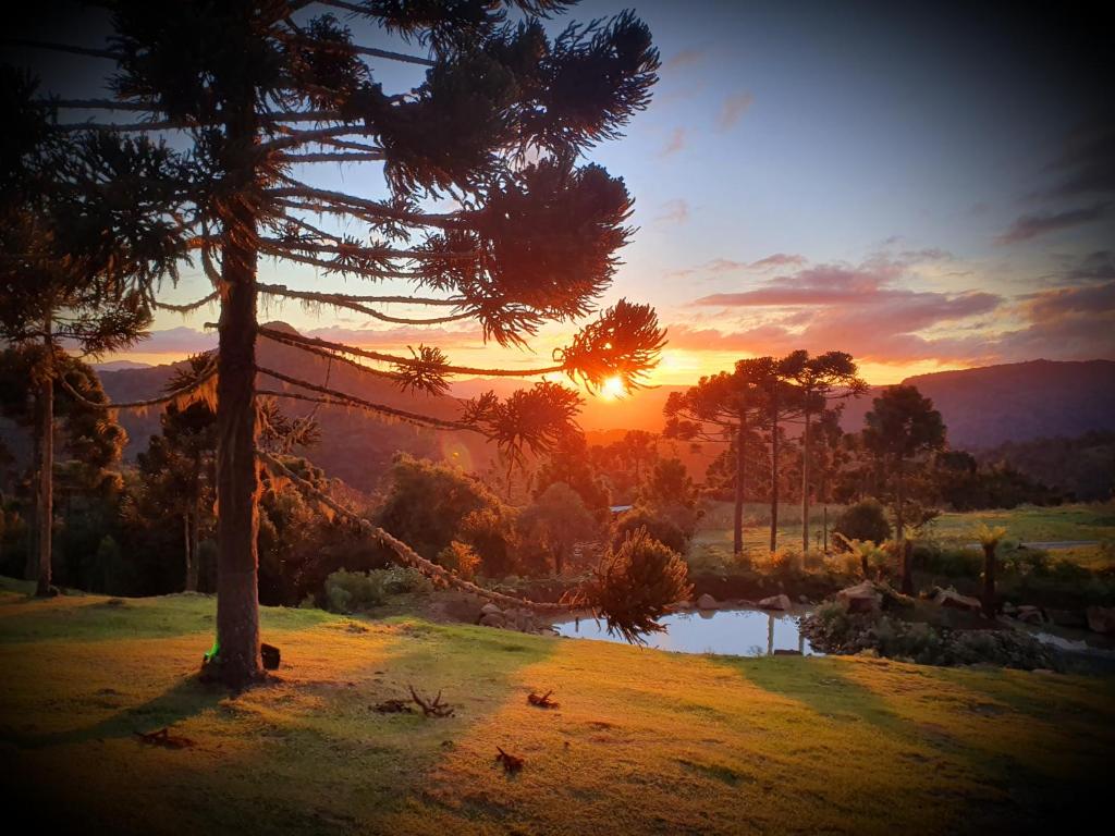 a tree with a hammock hanging from it at sunset at Pousada Flocos de Neve in Urubici