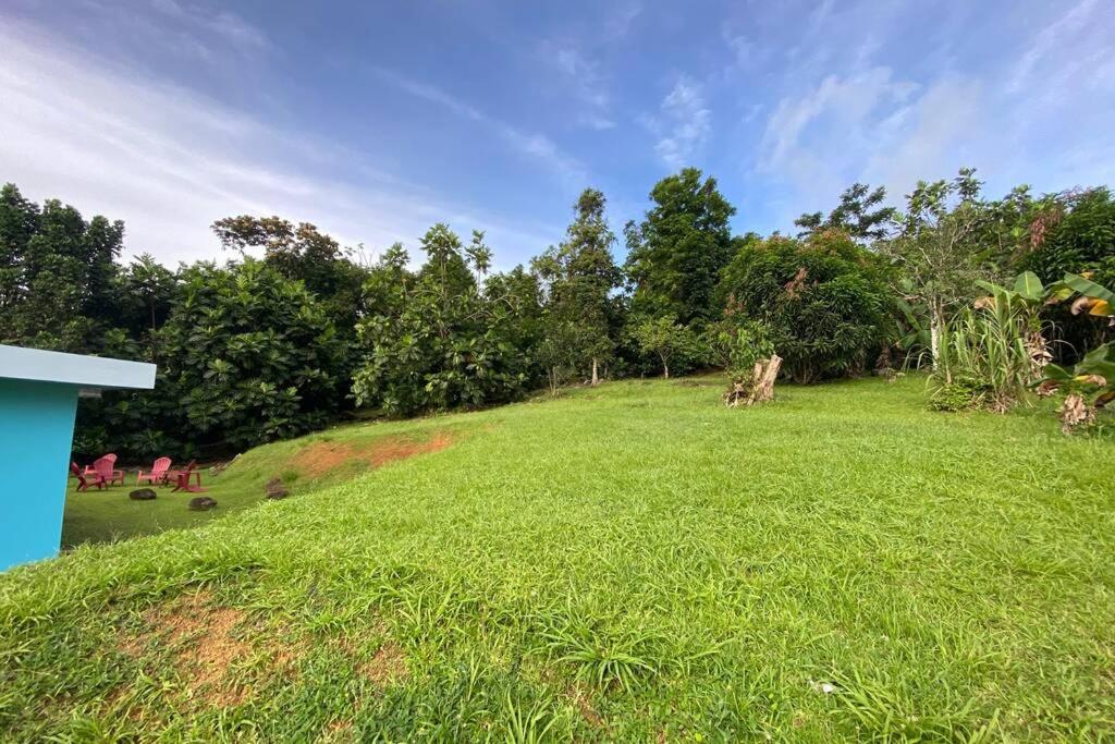 Κήπος έξω από το Rainforest Retreat 15 min from the beach