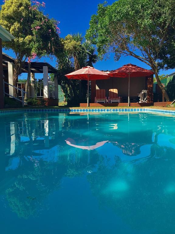 a large swimming pool with a red umbrella and a house at Brown Jug Guest House in Hermanus