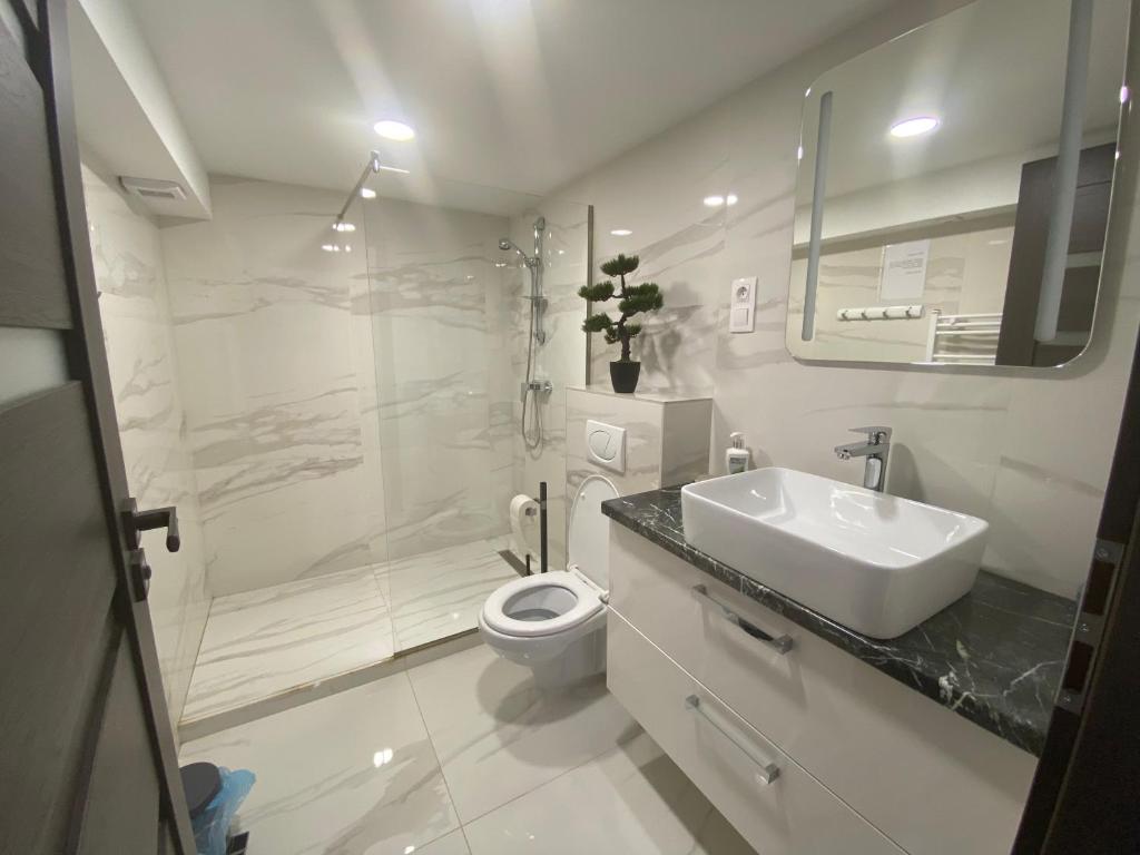 Belvárosi Apartman 3 3525 Miskolc, Széchenyi István út 22 1. emelet 3. ajtó kép - 1