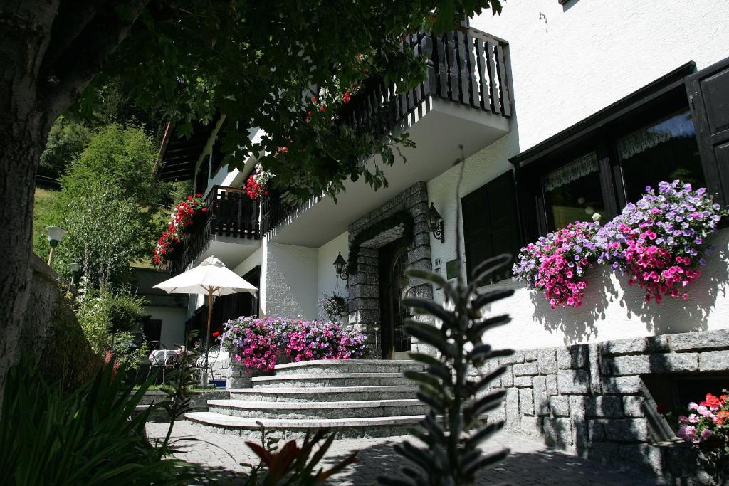 Zahrada ubytování Hotel Cardo