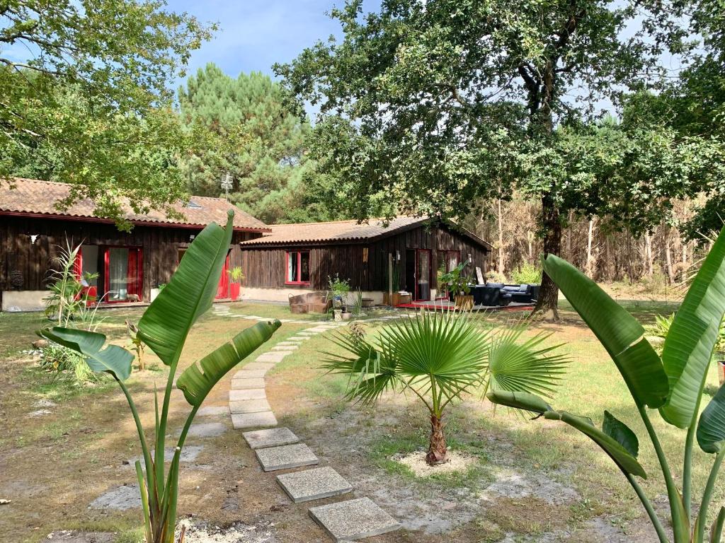 un jardín con una casa y algunas palmeras en Hacienda de la Canopée avec piscine chauffée au sel, en Hourtin