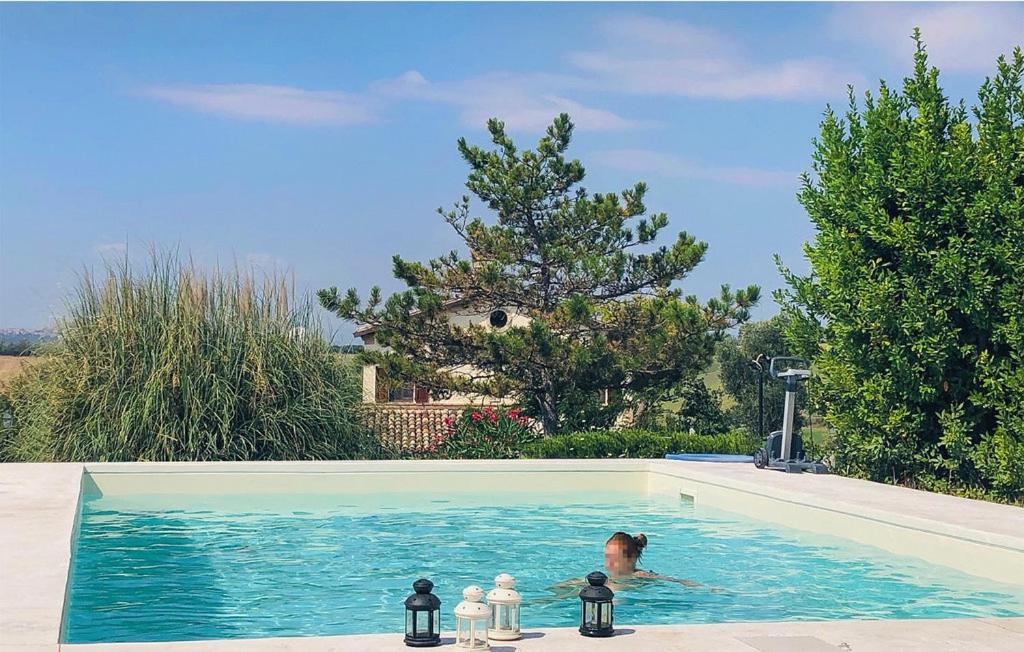 Ein Hund schwimmt im Pool in der Unterkunft Casa Vacanze con piscina - Villa Bentivoglio in Morrovalle