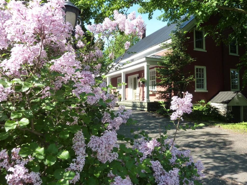 un árbol con flores púrpuras delante de una casa en Le Passe-Partout, en Cowansville