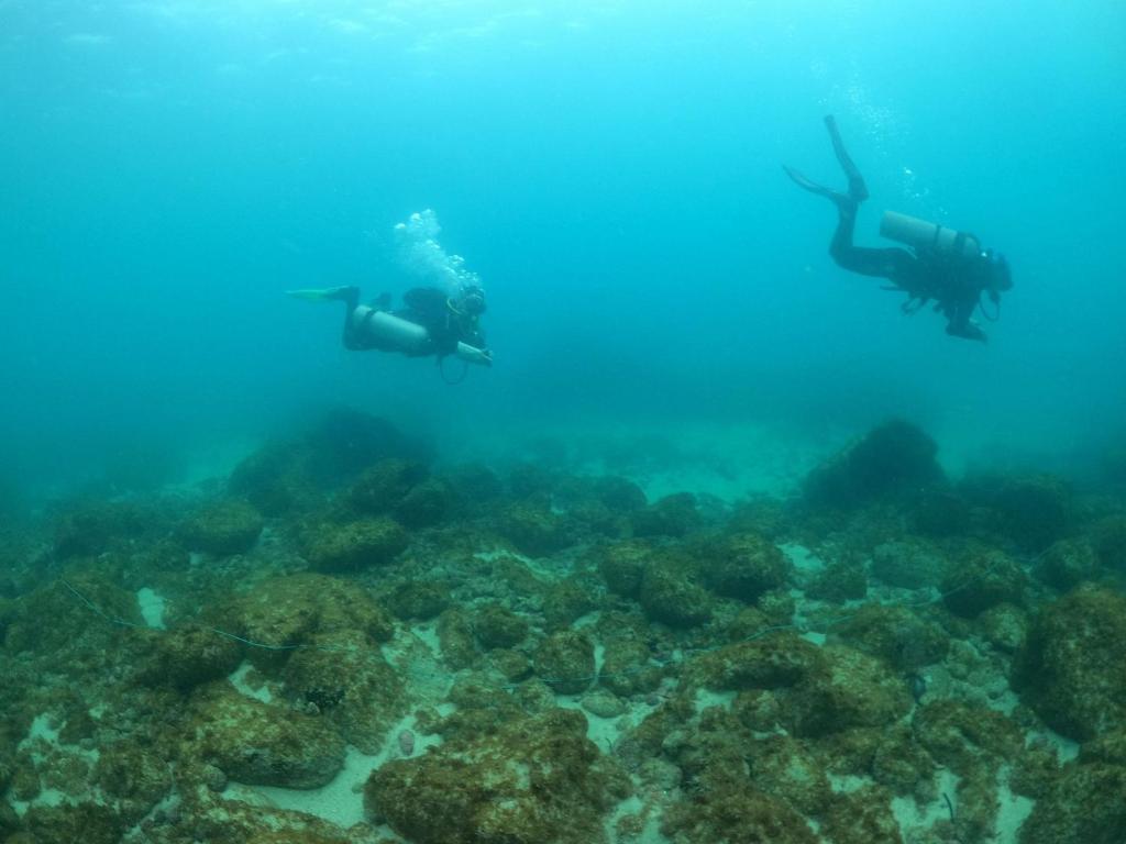 Hosté ubytování Pousada Aquamaster Dive Center