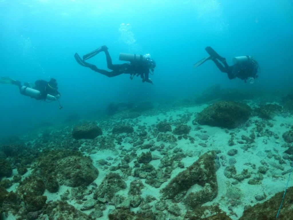 Hosté ubytování Pousada Aquamaster Dive Center