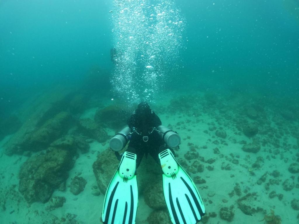 Hosté ubytování Pousada Aquamaster Dive Center