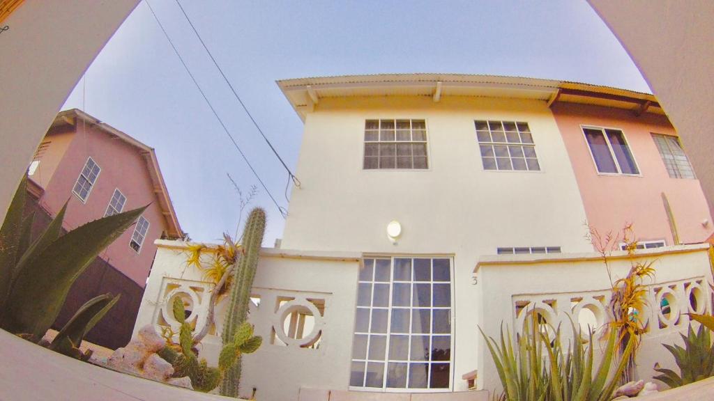 a large white building with windows and cactus at Blue Paradise Curaçao in Willemstad