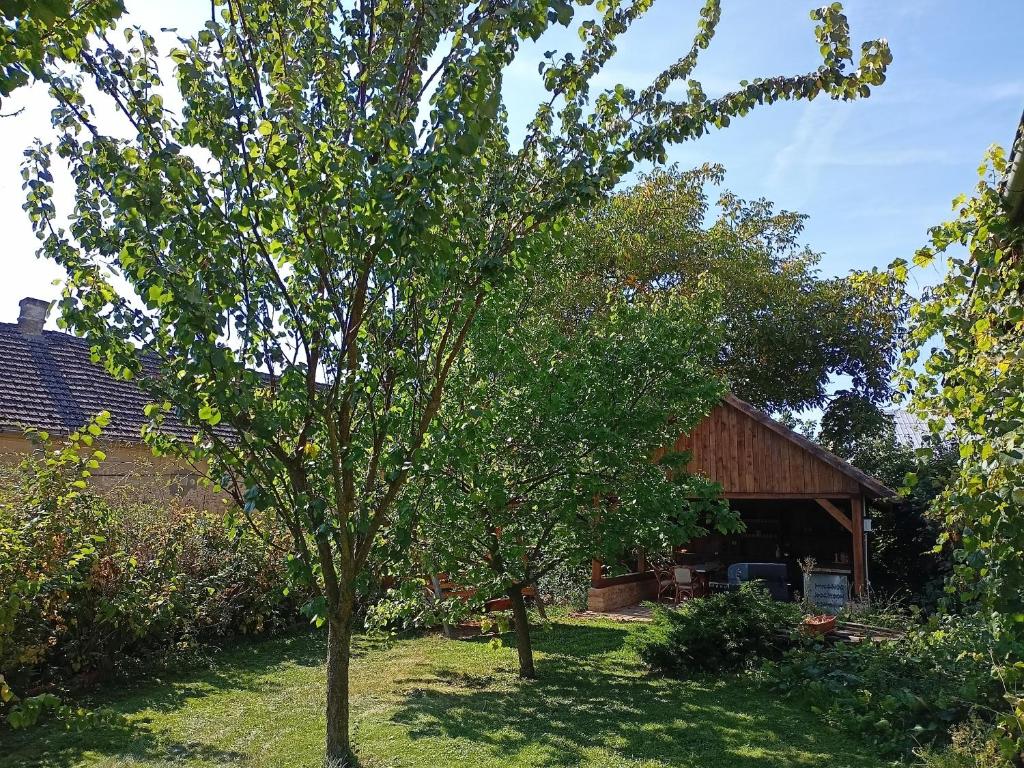 Giardino di Bohemica Apartman 3