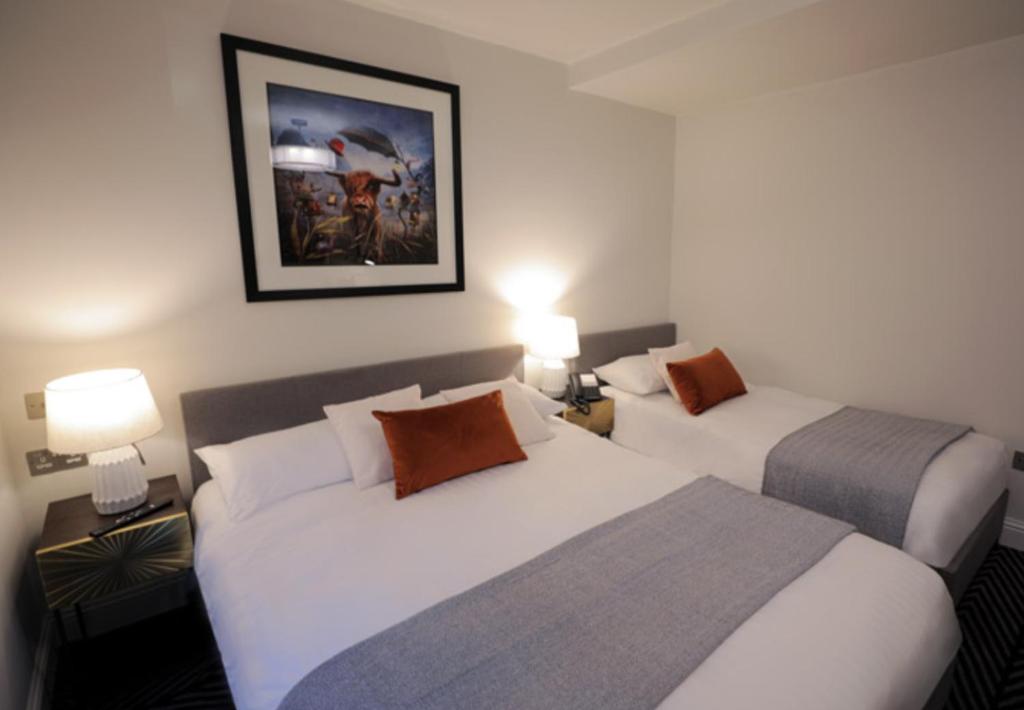 Boutique 50 - Chambre Familiale De Luxe