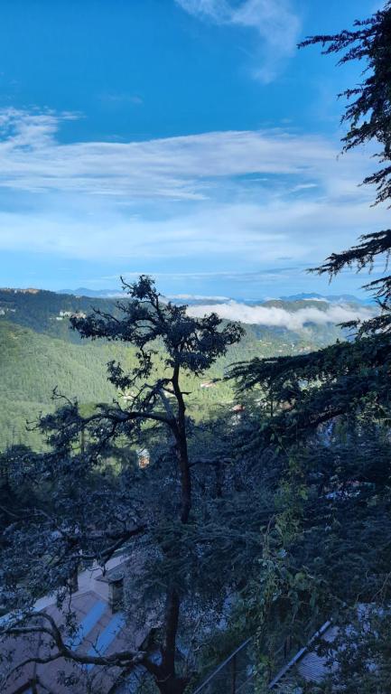 Fotografie z fotogalerie ubytování Hotel Lords Regency v destinaci Šimla