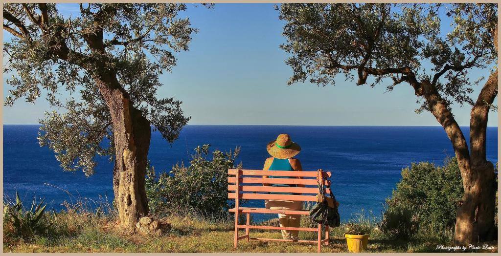una persona sentada en un banco mirando al océano en Villa Pierina, en Finale Ligure