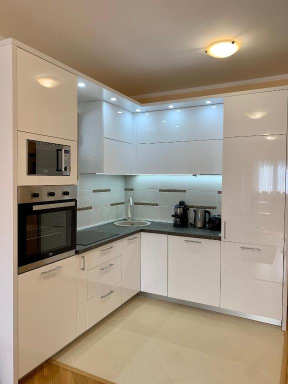 Kuchyň nebo kuchyňský kout v ubytování Lastochka.mne apartments