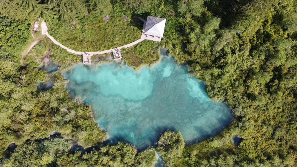 Příroda nedaleko apartmánu