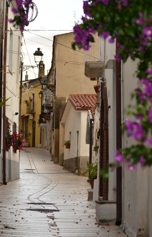 The surrounding neighborhood or a neighborhood close to a vendégházakat