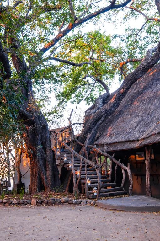 Fotografie z fotogalerie ubytování Jock Safari Lodge v destinaci Skukuza