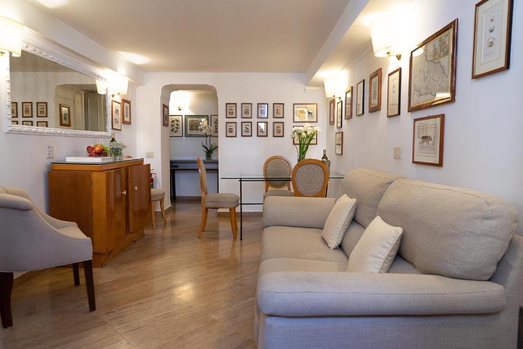 Babuino 79 - Resim 41