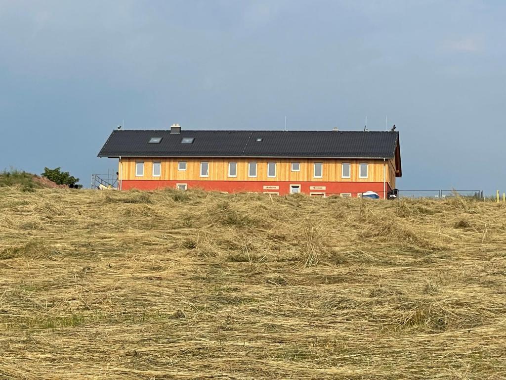une maison au sommet d'une colline avec du foin dans l'établissement Pension Biohof Klügel, à Freital