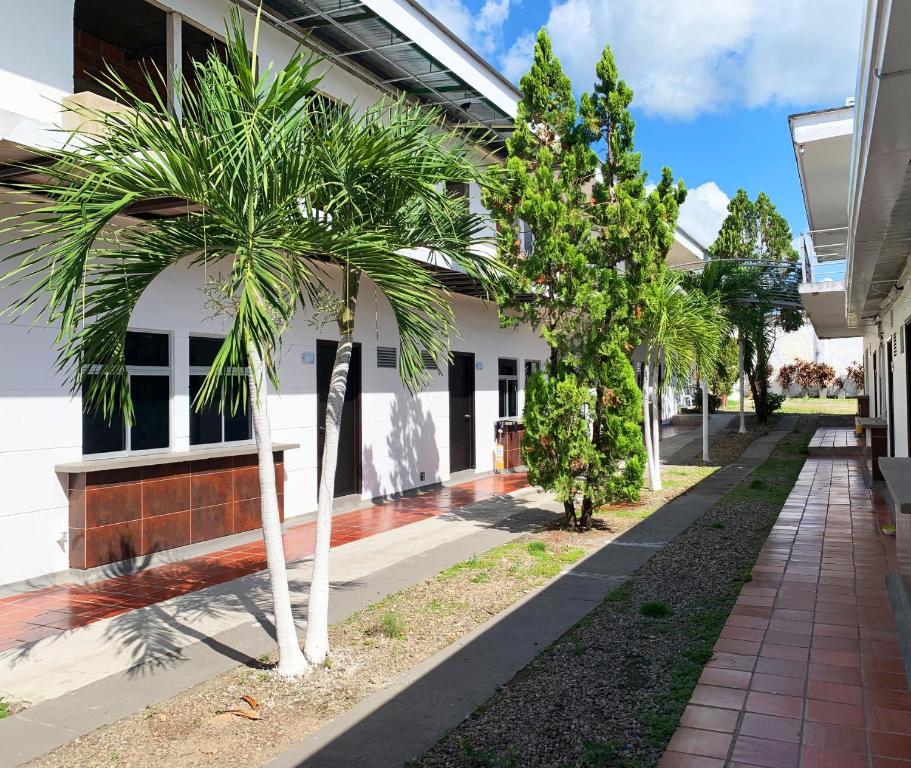 uma fila de palmeiras em frente a um edifício em Don David Sabana Hotel em Sabana de Torres